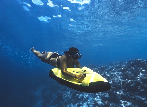 Sea Bob Ride 20 mins