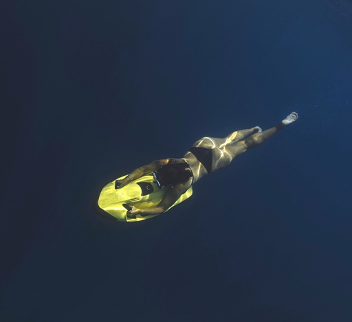 Sea Bob Rent 10 Mins