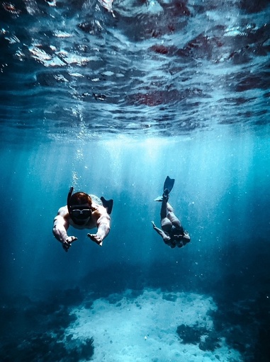 Underwater Photography